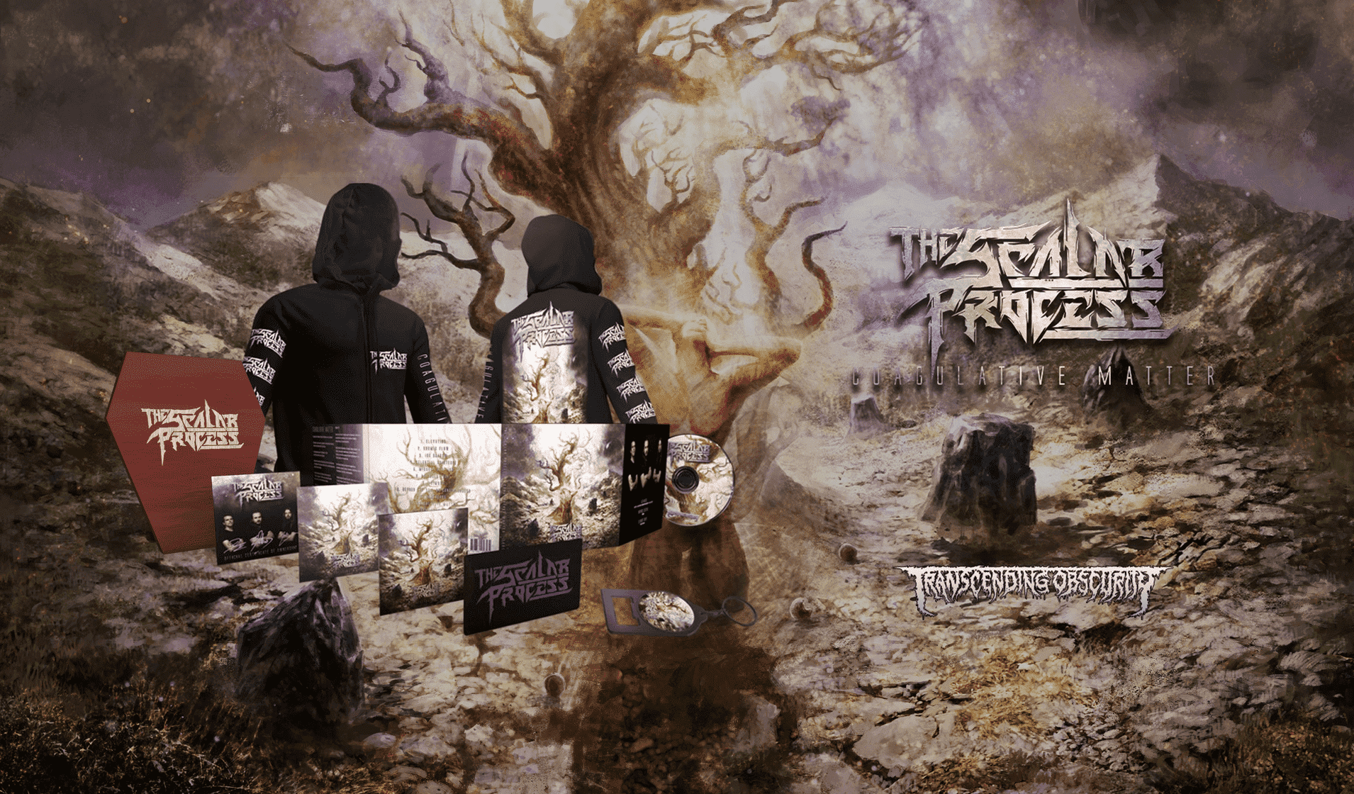 The Scalar Process merch