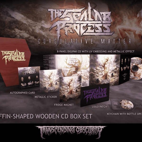 Coffin-shaped wooden cd box