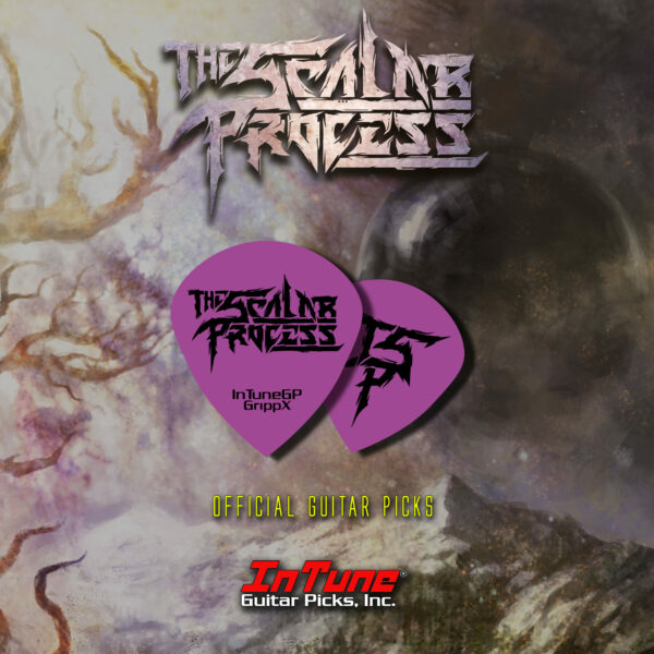 Guitar Picks IntuneGP